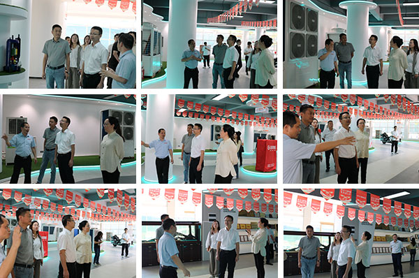 参观交流促发展 | 热烈欢迎东莞市桥头镇党委书记一行莅临我司参观考察