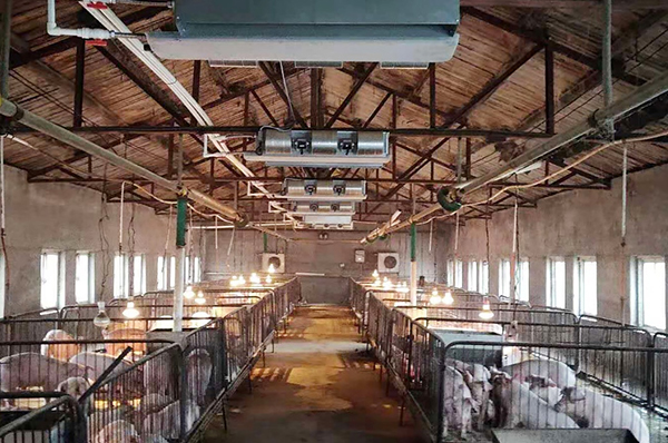 【效率升级】格美粤如何实现农业成本与产量的双重优化